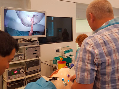 Prevention and repair of parastomal hernia training