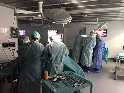 Laparoscopic skills cadaver lab
