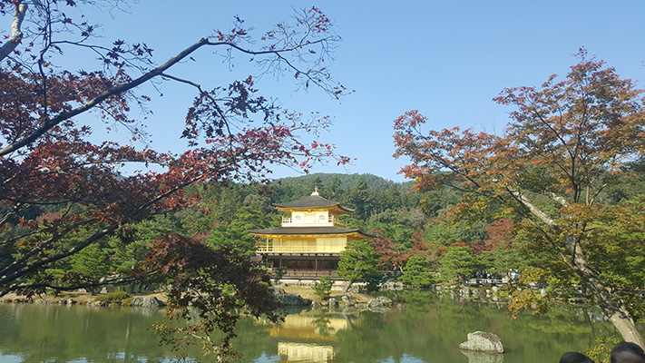 Golden pavillion surrounded by gardens