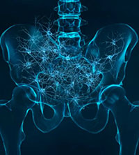 X-ray of pelvis