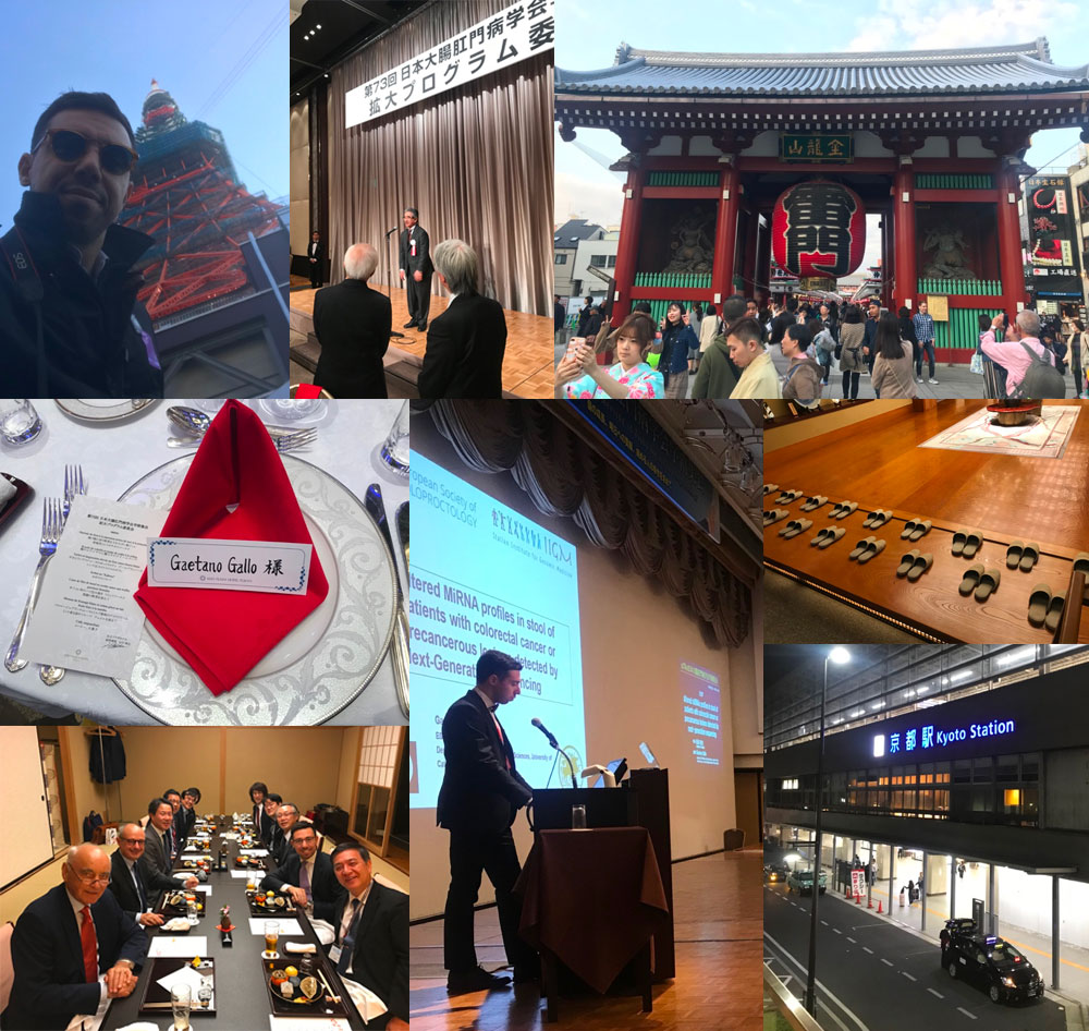 Collage of Tokyo and JSCP Congress photos